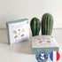 products/livre-en-tissu-deveil-des-3-mois-carotte-cie-283639.jpg